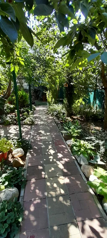 Коттедж Дом из бруса в саду — Анапа