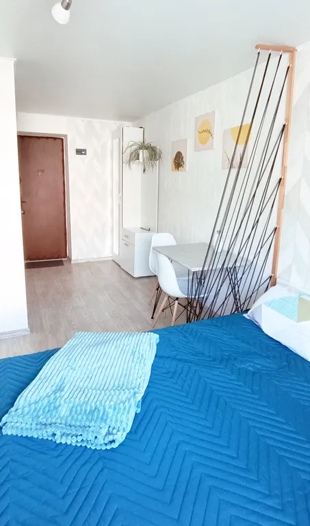 Уютная студия в центре рядом с Северным вокзалом и Верхним озером