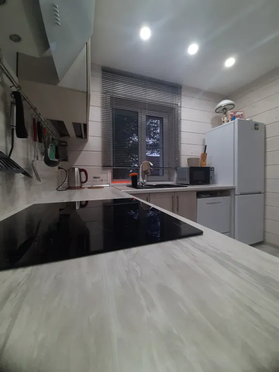 Дом в Сосновом бору