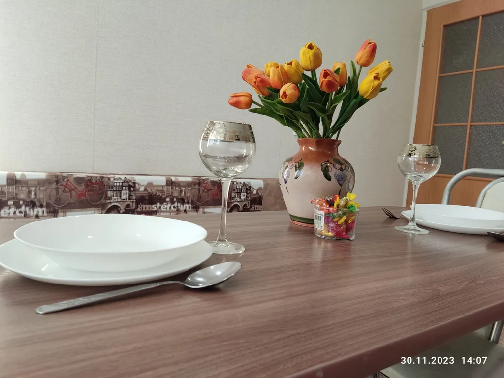 Апартаменты в гостях у Лилии