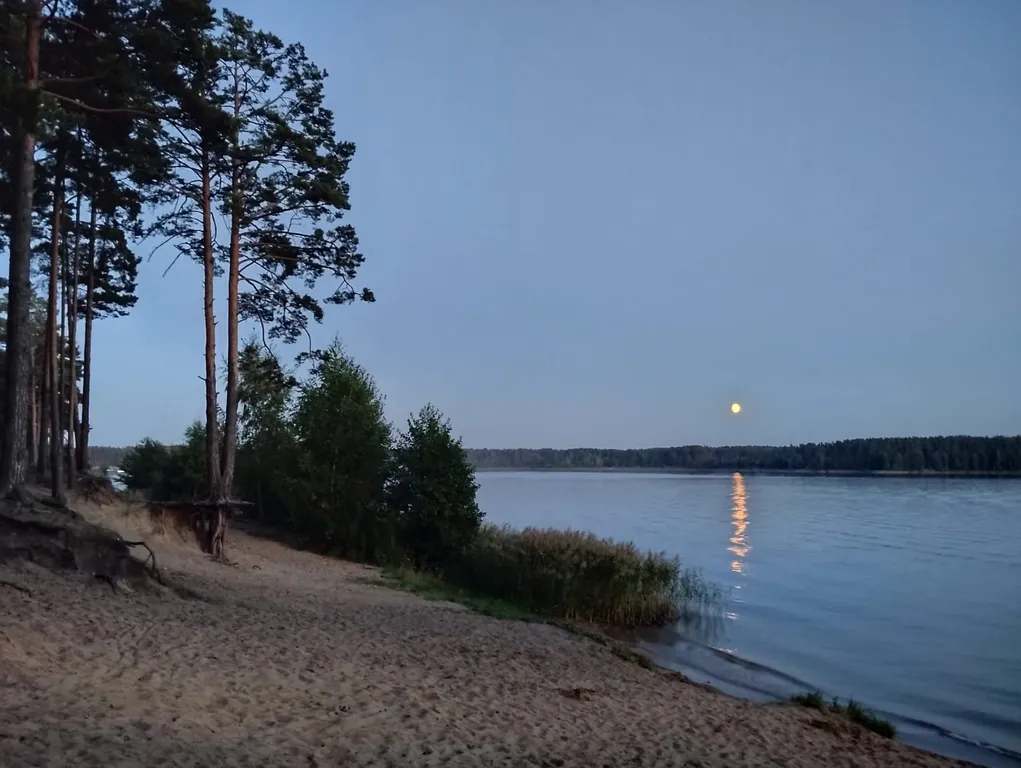 Дом в сосновом бору на озере