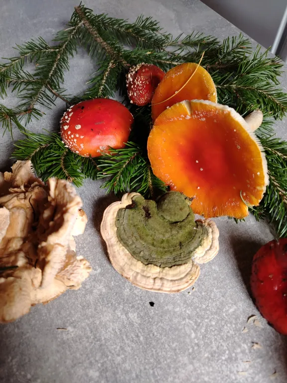 Глубинка Алтая, дом с камином на берегу реки