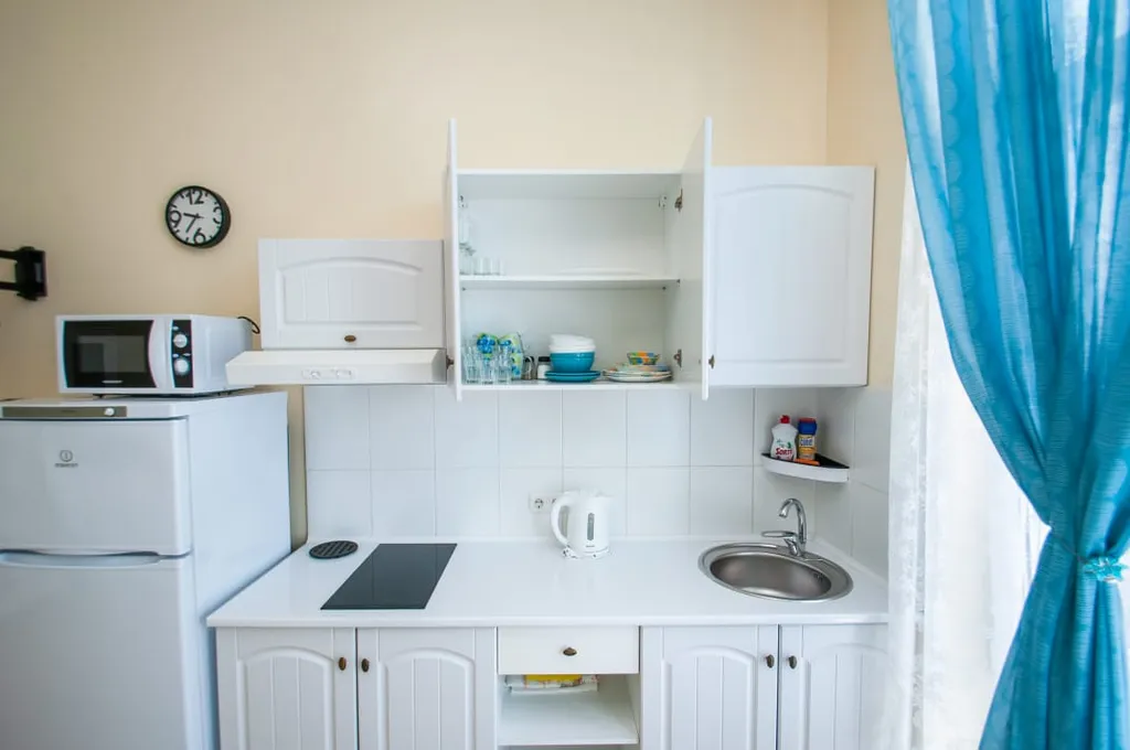 Студия с террасой астра 1