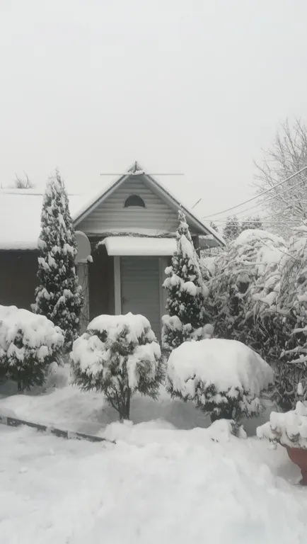 Бунгало в тихом месте старого Пскова у Гремячей Башни и реки Псковы