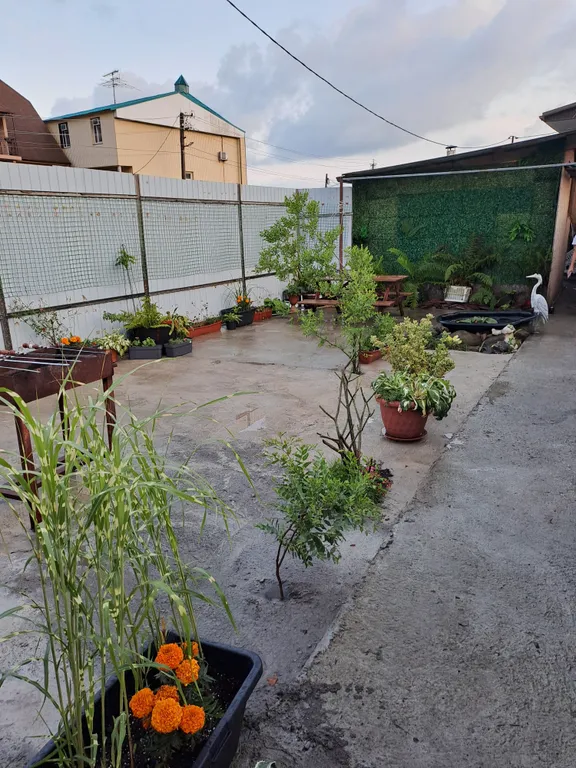 Дом недалеко от моря