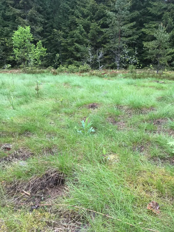 Дом на холме