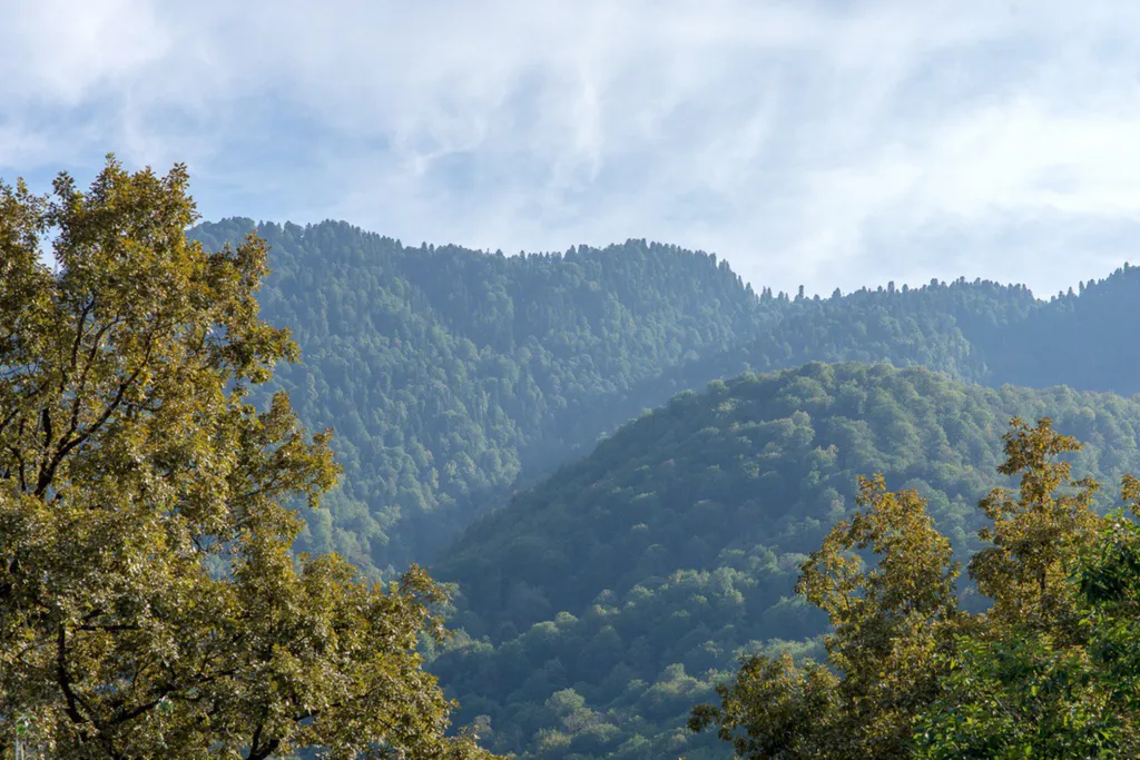 Домик в поляне! Уютный дом лесника