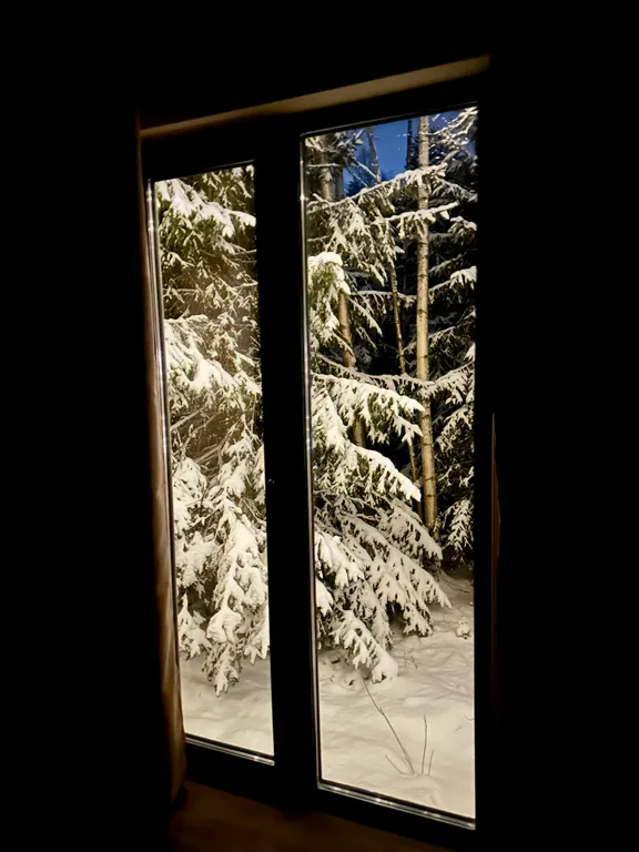 Коттедж Уютный дом в окружении леса — Лебяжье