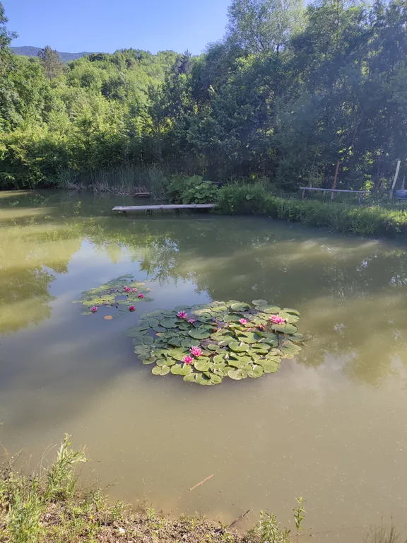 2-комнатный Дом