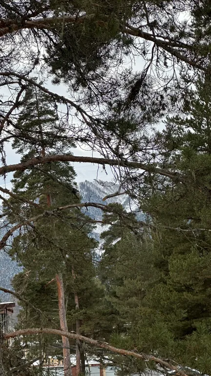 А-фрейм с видом на горы и лес