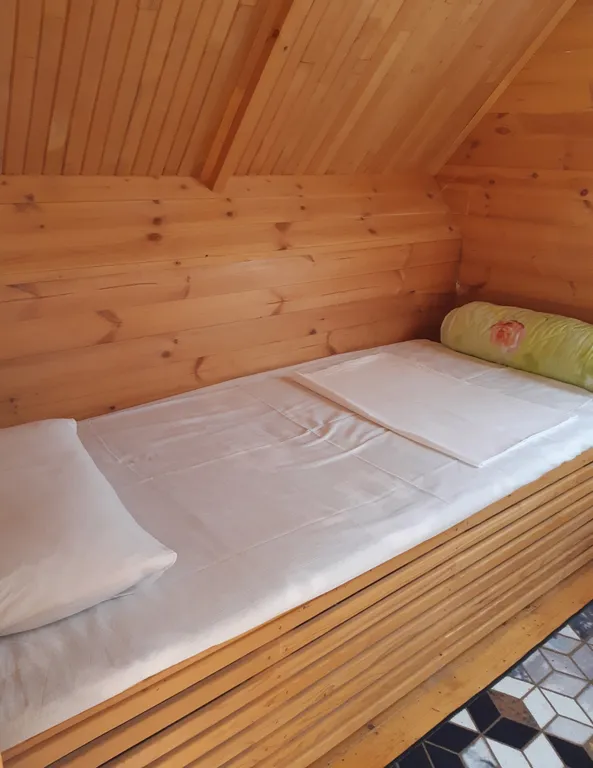 Оздоровительный сон на пчелах