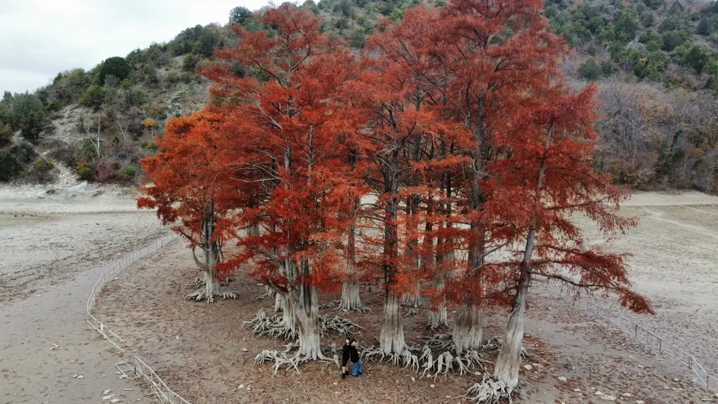 Гостевой дом Villa scandi большой