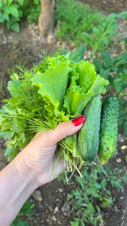 Комнаты с видом на море и горы