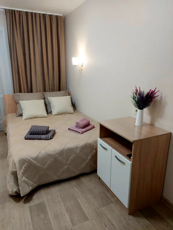 Квартира-студия Гармония — аренда посуточно в Владимир