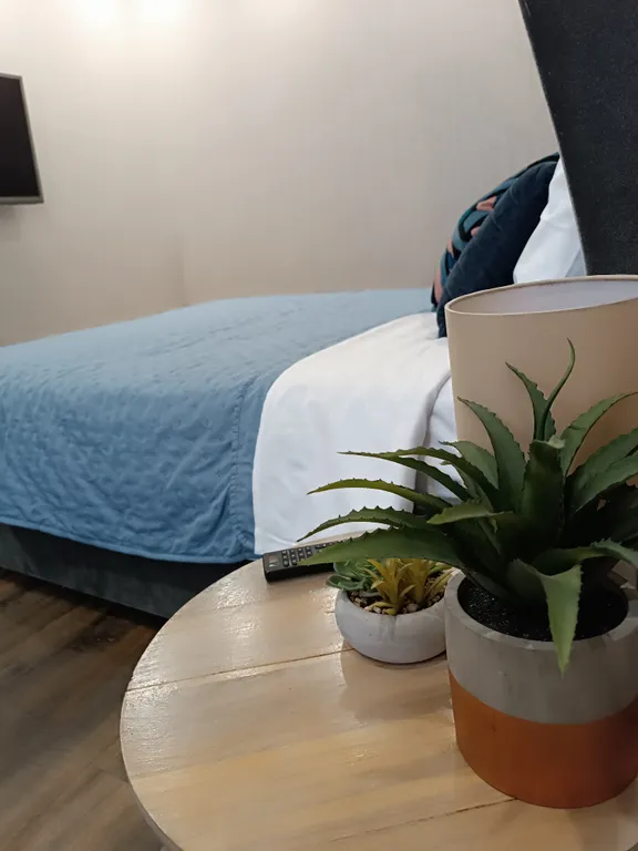 Комфортная и уютная квартира в самом центре города