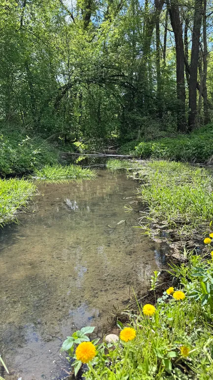 Усадьба Сова