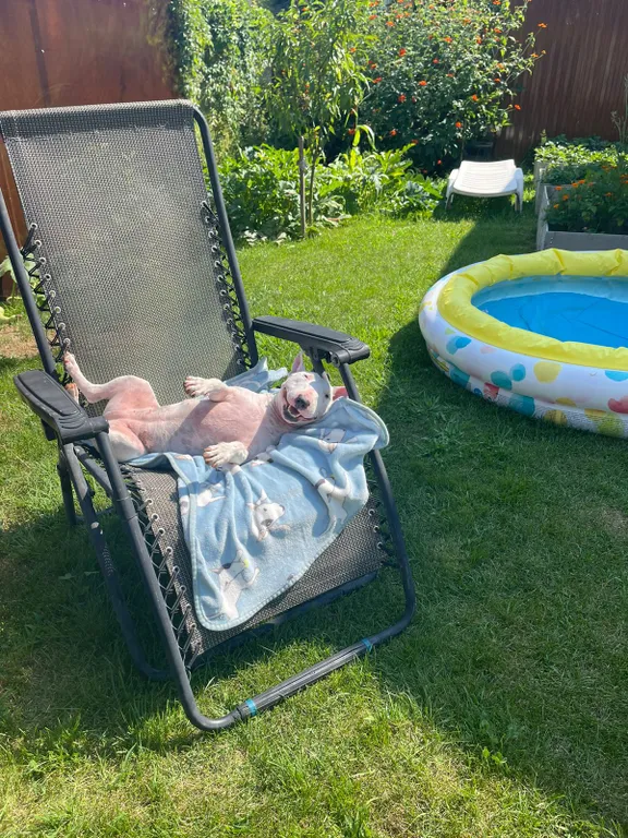 Дом на природе