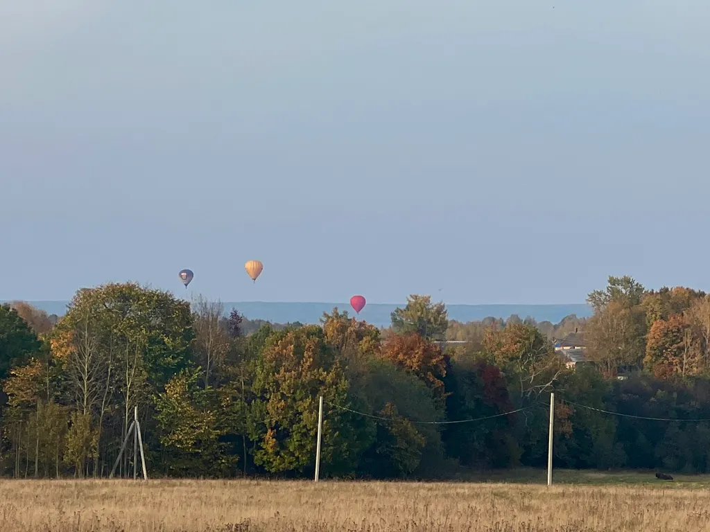 Коттедж Дом у леса Ольха хаус — Новоселье