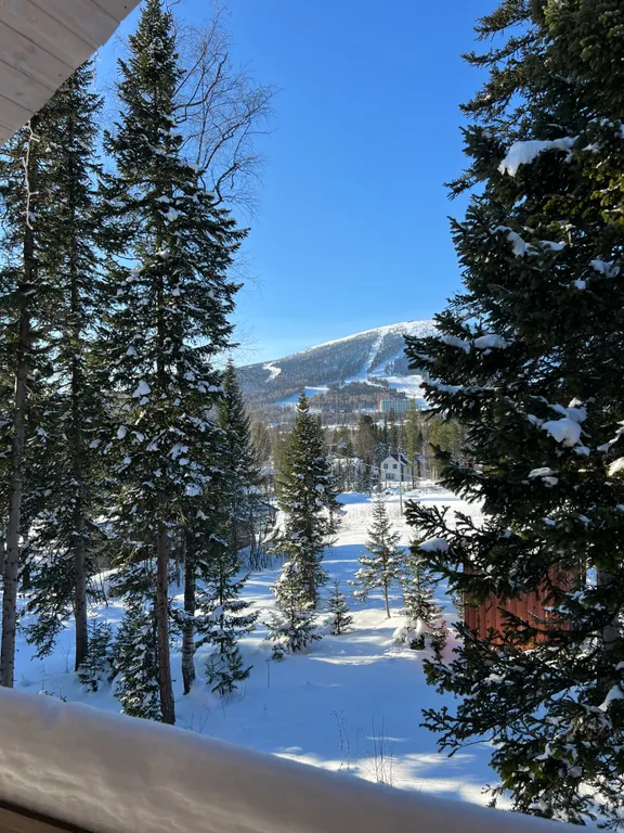 Апартаменты с видом на горы