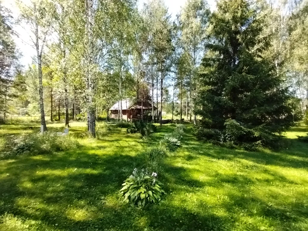 Дом на большом лесном участке