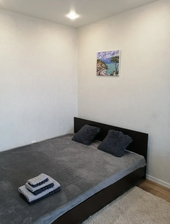 Квартира в шаге от центра — аренда посуточно в Йошкар-Ола