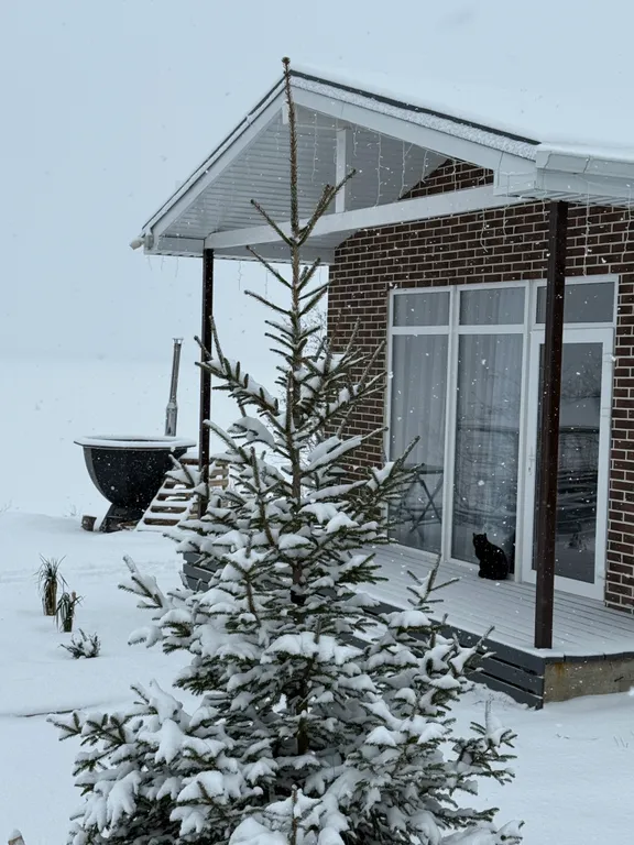 Коттедж база отдыха Терраса — аренда посуточно в Таганрог