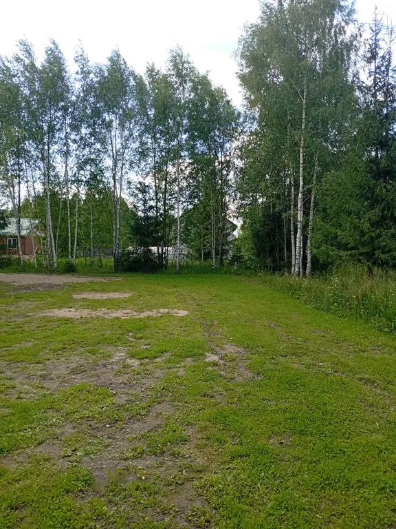 Новый уютный дом