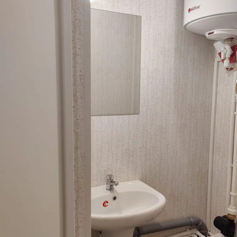 Барнхаус сова