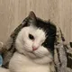 Александра