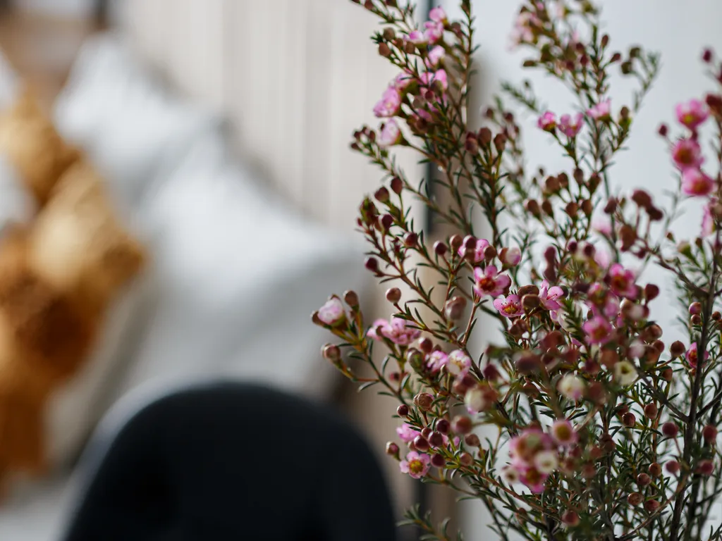 Квартира Квартира Видовая студия — Тельмана