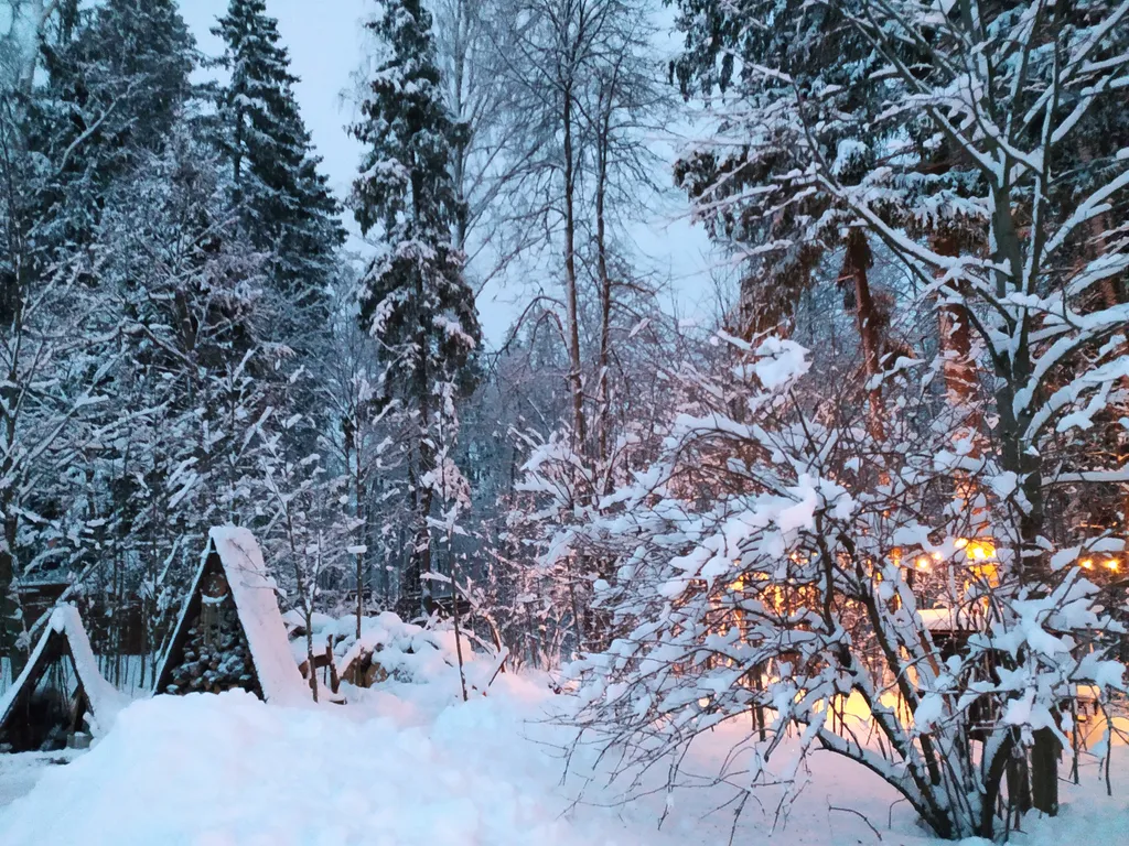 Лесной домик a-frame с террасой на холме, среди высоченных елей и берез
