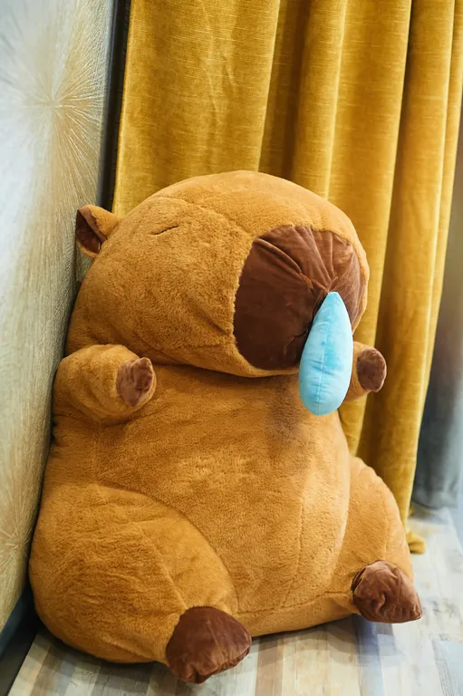 Capybara's style: центр, парящая кровать, тв-алиса, качель