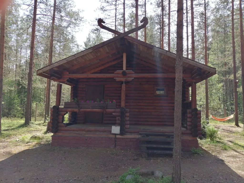 Дом Викинга