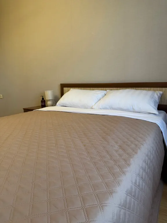 Уютная двухкомнатная квартира в самом центре города