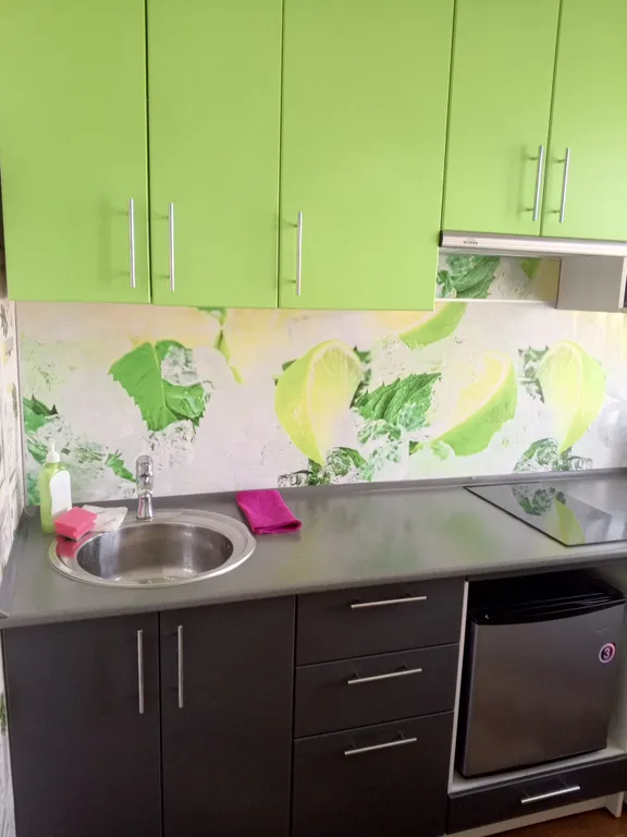 Уютная квартира в центре левобережья