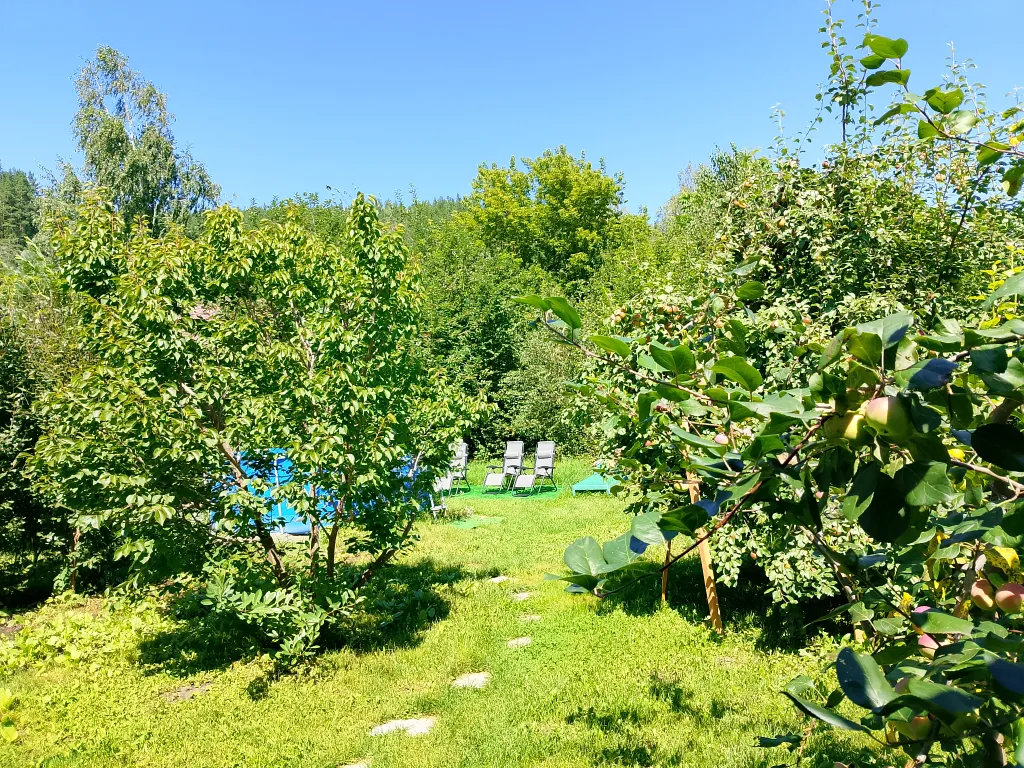 Дом Орешек на берегу Катуни