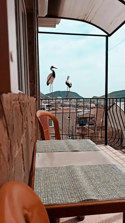 Семейный люкс с балконом