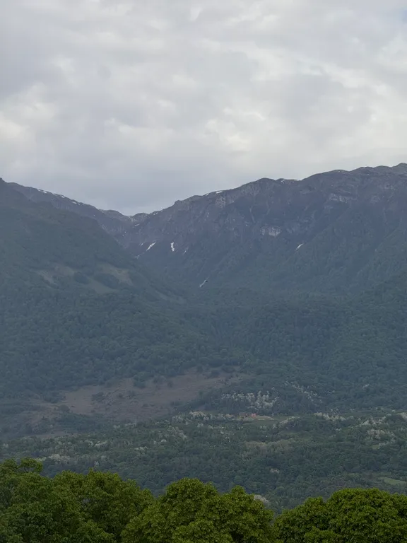 Уютные апартаменты