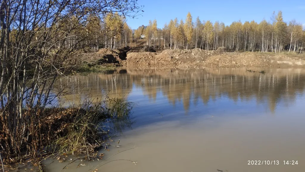 Коттедж Коттедж со своими водоемами и рыбалкой — Шаховская