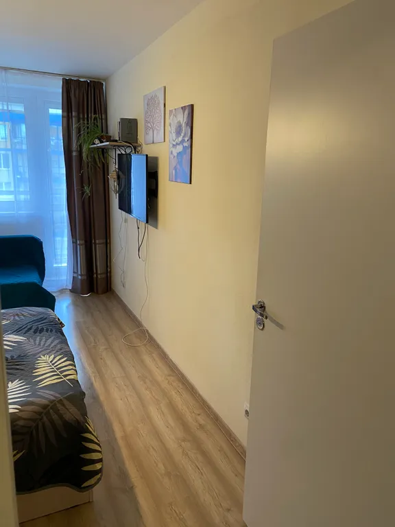 В лесной тиши