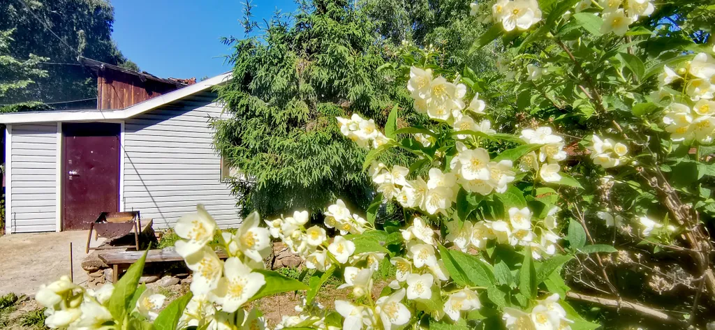 Коттедж Уютный гостевой дом с сауной — Осурово