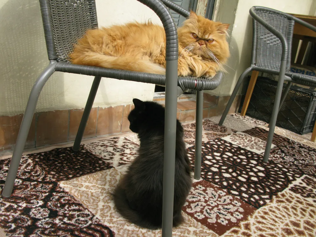 Комната в историческом центре