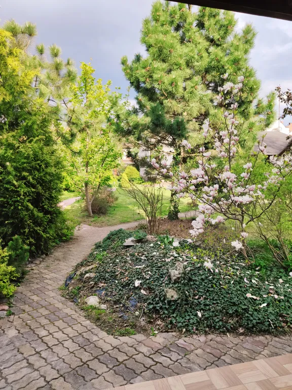 Деревенский дом у моря