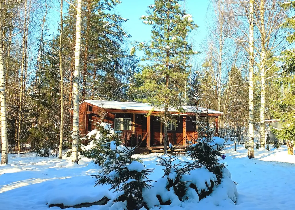 Коттедж Гостевой дом На опушке леса — аренда посуточно в Валдай