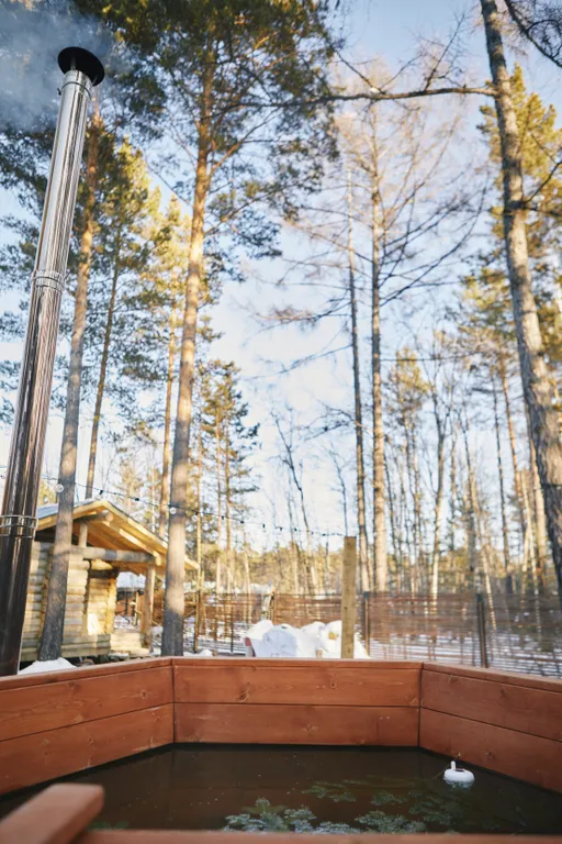 Уединенный дом в стиле A-frame