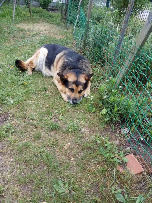 В 10 минутах от Балтийского моря