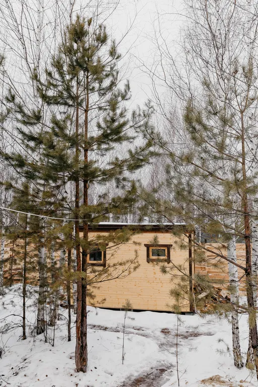 Дом с панорамными окнами и террасой в окружении леса