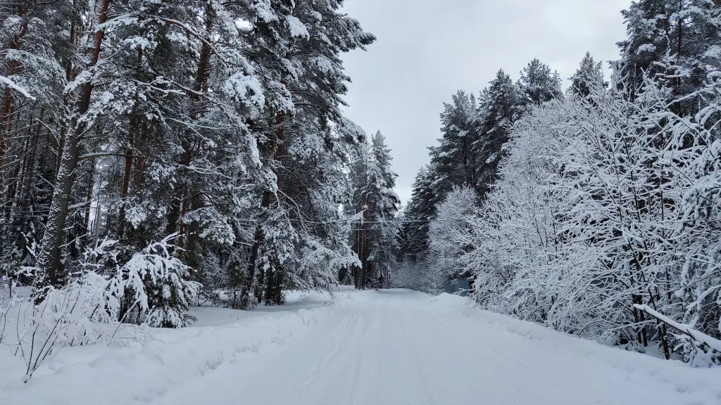 Коттедж Дом в турбазе Чайка, у озера в сосновом бору - Селигерский край — Турбаза Чайка