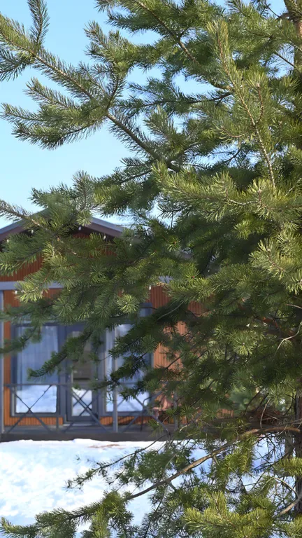 Новый дом в лесу