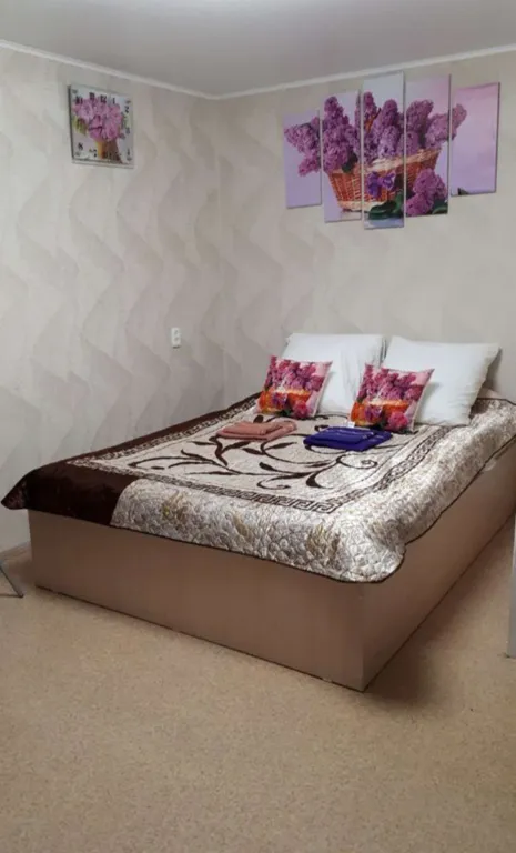 Квартира Уютная полуторка в центре — аренда посуточно в Челябинск